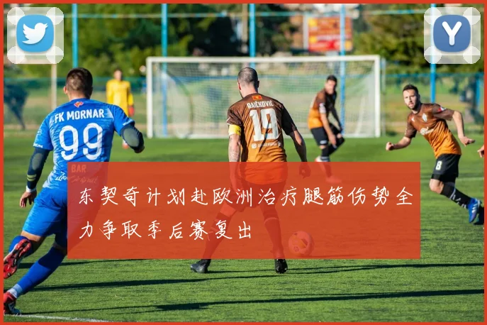 东契奇计划赴欧洲治疗腿筋伤势全力争取季后赛复出