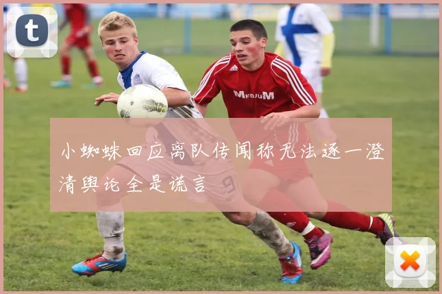小蜘蛛回应离队传闻称无法逐一澄清舆论全是谎言