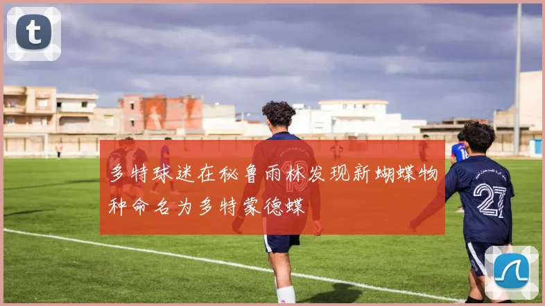 多特球迷在秘鲁雨林发现新蝴蝶物种命名为多特蒙德蝶